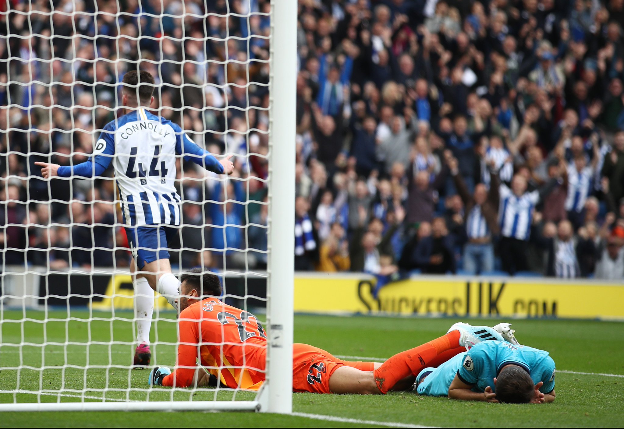 化和理念的 化和理念的